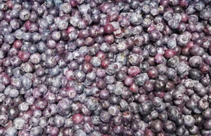 Produits 100% naturels, baies congelées de qualité alimentaire, fruits congelés, fraises biologiques IQF, emballage en vrac de 10 kg - Product Image 2