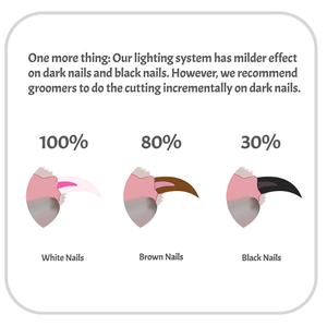 Cortaúñas profesional con luces LED y lima de uñas, Kit de cuidado de uñas <span class=keywords><strong>para</strong></span> <span class=keywords><strong>perros</strong></span> - Product Image 3