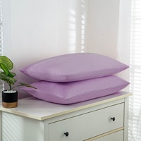Funda de Almohada Antiestática de Nuevo Diseño, Cómoda y Transpirable, de Fibra de Plata, Ecológica y No Tóxica para Hogar, Hotel y Hospital