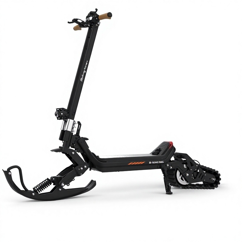 Cross border Electric Snowmobile Three in