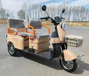 Scooter électrique YINGWU à 3 roues, <span class=keywords><strong>transport</strong></span> <span class=keywords><strong>de</strong></span> marchandises, tricycle électrique, moto pour adultes - Product Image 2