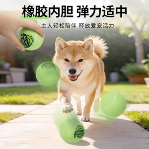 Jokiten Pet Tennis Balls 3 Pack <b>Throwing</b> Toy For Dogs Interactive <b>Outdoor</b> Play - Product Image 4