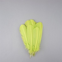 Plumes de dinde Lime Quill pour artisanat adulte, bricolage, chapeau créatif, accessoire de coiffure, costume, carnaval, fête, mariage, décoration intérieure
