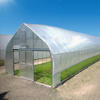 Serre de haute qualité facile à installer pour la plantation de fruits et légumes.