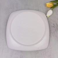 Assiettes plates carrées en mélamine incassables personnalisées de 10 pouces pour la vente en gros