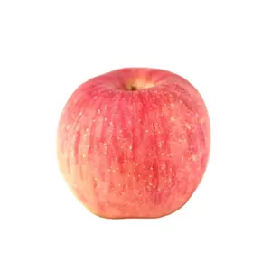 Manzana china deliciosa manzana real Gala manzana roja fresca Fuji