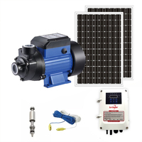 Pompe à Eau Solaire de Surface DC Personnalisée Haute Pression 48V avec Contrôleur pour Agriculture et Jardin