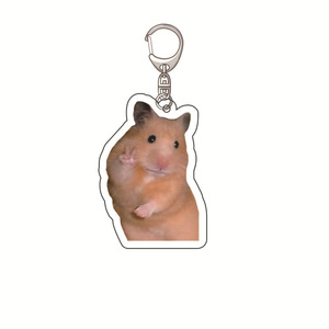 Acrylic <b>Keychain</b> 3D Shape 5cm Carabiner Portable <b>Personal</b> Gift - Product Image 1