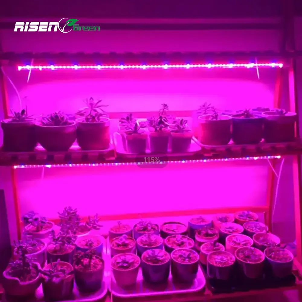 T8統合LEDグローライト調光可能水耕栽培屋内栽培システム播種野菜。花フルスペクトル垂直グローライト