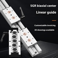 Rail de guidage linéaire en acier à double axe série SGR10, roulement linéaire CNC intégré, glissière industrielle