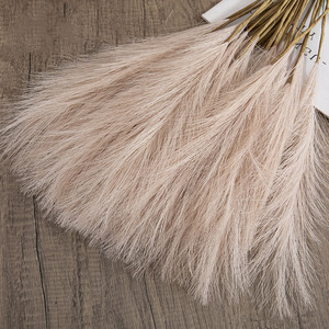 Faux Pampas Fluffy Cream 49 cm Herbe de la Pampa Artificielle pour la Décoration - Product Image 6