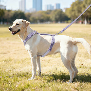 تصميم جديد لعام 2025: طوق كلاب خفيف الوزن وعصري، قابل للتخصيص باللون والحجم، سترة أمان للحيوانات الأليفة مبطنة وناعمة من النيوبرين مع مقبض مريح - Product Image 5