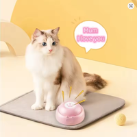 Hundetraining-Knopf Interaktives Spaß-Spielzeug aus Kunststoff für Hunde und Katzen Aufnehmbare Hundekommunikationsknöpfe