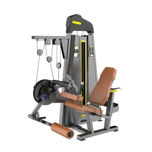 Bilink 2 in 1 ve 3 in 1 fitness aleti spor salonu ekipmanları Selectorized bel gücü eğitimi bacak kıvırmak uzatma makinesi