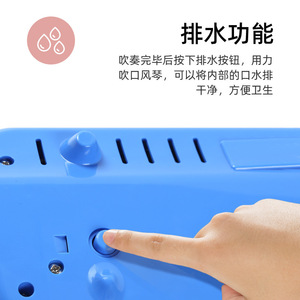 Melódica Feifan de 32 Teclas, Instrumento Musical Portátil para Estudiantes y Principiantes con Estuche de Plástico - Product Image 4