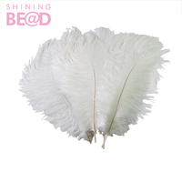 Plumes d'autruche naturelles lisses et moelleuses, blanches, teintées, de 40 à 80 cm, pour la décoration de carnaval, de danseuses et de fêtes - Vente en gros