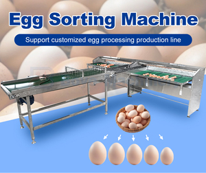 Hoàn Toàn Tự Động Moba Kim Cương 8400 Trứng Học Sinh Lớp Kích Thước Nhỏ 5000 Pcs Mỗi Giờ Trọng Lượng Kích Thước Trứng Phân Loại Máy Phân Loại Với Nến - Product Image 2
