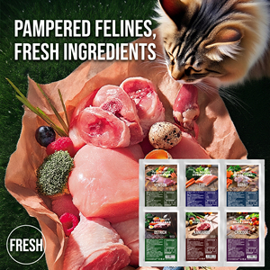 Nourriture humide pour chats et oiseaux (canard, poulet, bœuf, lapin, cailles, poisson) avec citrouille, carotte, igname, algues, goji, champignons, datte, tomate en sachet - Product Image 2
