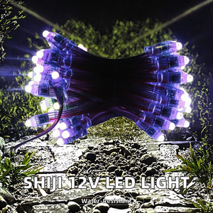 Shiji 12V Không Thấm Nước PVC Đầy Đủ Màu Sắc Gs8208 <span class=keywords><strong>LED</strong></span> Pixel Ánh Sáng 12Mm IP67 <span class=keywords><strong>Bullet</strong></span> <span class=keywords><strong>LED</strong></span> Điểm Đèn Cảnh Quan Giáng Sinh Trang Trí - Product Image 2