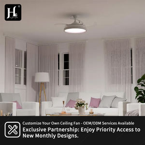 42 Inch New Latest Ceiling Fan with Light Invisible Retractable Ceiling Fan with Light and Remote Control - Product Image 6