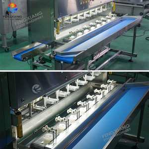 8-16 kafaları endüstriyel Papya Pawpaw <span class=keywords><strong>Mango</strong></span> soyucu makinesi ile gıda sınıfı konveyör kemer - Product Image 3