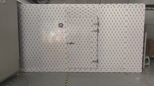 Container Refrigerato/Congelatore <span class=keywords><strong>Solare</strong></span> Commerciale Compatto da <span class=keywords><strong>20</strong></span> piedi con Copeland Emerson per Pesce, Verdura, Frutta, Gelato - Product Image 3