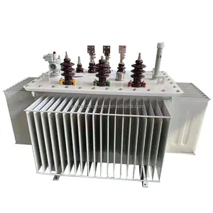 Trasformatore elettrico trifase 15kv 33 kv 630kva 1200 kva