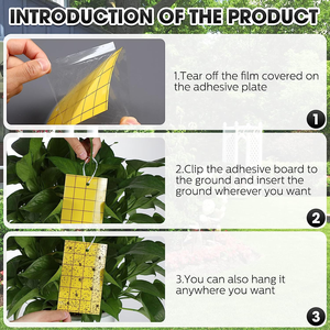 Offre Spéciale jaune champignon moucheron pièges pour <span class=keywords><strong>maison</strong></span> intérieur mouche colle papier intérieur pour insecte moucherons tueur piège - Product Image 3