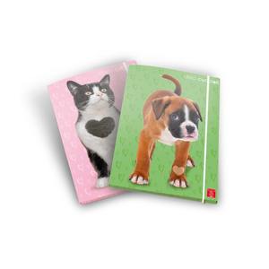 PINE CONE - Classeur à 3 rabats motif chiots mignons, dos de 1,2 cm, assorti - Product Image 1