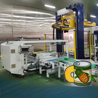 Automatische fruitconservenlijn voor kersen, perziken en ananas