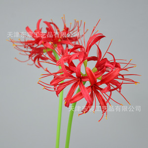 Lirio Araña Artificial Dongchen Crafts, Tallo Único Rojo y Blanco, para Decoración de Bodas, Hogar y Accesorios de Fotografía - Product Image 3