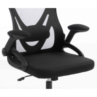 Chaise de bureau ergonomique en maille avec dossier inclinable, accoudoirs relevables, certifiée BIFMA, cadre noir pour bureau à domicile, salle de conférence