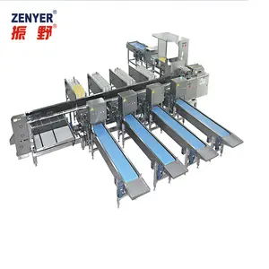 Zenyer Top Sale Egg Grader Machine Multifunctional Egg Sorting Machine Auto-packer Grading Machine With Good Reviews