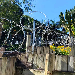 MY Cheap High Quality Stainless Steel Wire <b>Anti</b> <b>Climb</b> Razor Blade Security Barbed Wire Strand 100m Hebei Model BTO22 CBT65 - Product Image 1