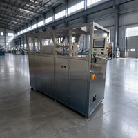 Machine de remplissage automatique de liquides Bag-in-Box à double tête en acier inoxydable 304 pour la production en usine, personnalisable OEM ODM