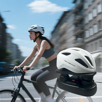 Séchoir Désodorisant Électrique Professionnel à l'Ozone pour Casques de Moto et de Vélo, Chaussures, avec Divers Supports, Multifonctionnel, Séchage Rapide