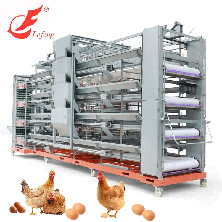 Lefeng équipement agricole entièrement automatique pour volaille, cage à œufs personnalisable de type H pour poules, poules, animaux