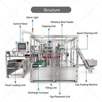Machine de remplissage et de bouchage entièrement automatique ORME pour sachets souples à bec verseur (ketchup, gelée, jus, lait de soja, liquides)