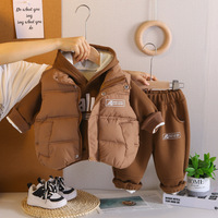 Tenue assortie confortable pour l'hiver pour les tout-petits garçons, sweat-shirt à capuche avec gilet matelassé et pantalon de jogging uni