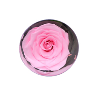 Rose éternelle naturelle à tige unique, écologique, cadeau pour la Fête des Mères, Anniversaire, Noël, Pâques, la Saint-Valentin, Anniversaire de mariage