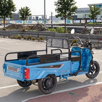 Nouveau tricycle électrique cargo à 3 roues pour adultes, certifié Meiyun CCC, batterie au plomb-acide, carrosserie ouverte, charge utile de 400 kg et autonomie de 50-70 km