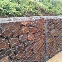 Grillage Gabion en Fil de Fer Galvanisé à Chaud Tressé, Revêtement PVC, Motif Diamant, pour Mur de Soutènement et Jardinage KaKing