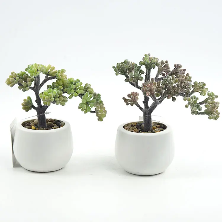 De alta calidad de las partículas de mini suculentas bonsai artificial plantas para la decoración