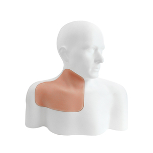 Modelo <span class=keywords><strong>de</strong></span> Entrenamiento para Acceso Venoso Central Guiado por Ultrasonido Scalptek IG017-S1, Cabeza, <span class=keywords><strong>Cuello</strong></span> y Hombros Completos, <span class=keywords><strong>Vasos</strong></span> IJV, Subclaviarios y Axilares - Product Image 1