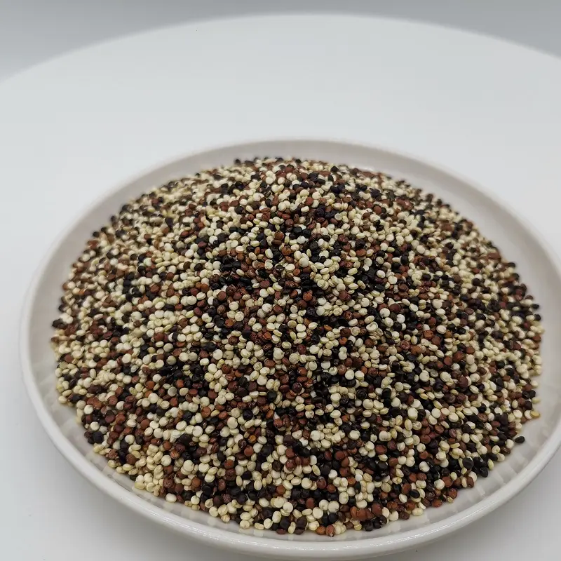 Semi di quinoa ad alto contenuto proteico di quinoa tricolore biologica in vendita