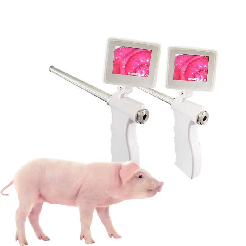 गर्म बिक्री सुअर कृत्रिम गर्भाधान उपकरण दृश्य गर्भाधान बंदूक