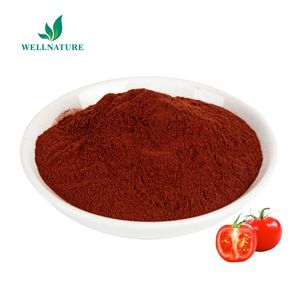 Cung cấp ổn định tự nhiên cà chua chiết xuất 96% <span class=keywords><strong>98</strong></span>% <span class=keywords><strong>Lycopene</strong></span> bột của chất lượng tốt - Product Image 3