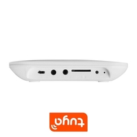 WALE prix usine multi-langue Tuya WIFI GSM sécurité brouillard système d'alarme de sécurité avec détecteur de fuite de CO pour la sécurité à domicile