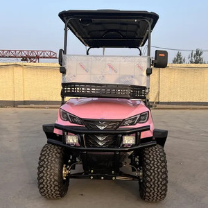 Voiturette de golf et buggy tout-terrain professionnelle, intelligente, de luxe, chinoise, à énergie nouvelle, pour la chasse - Product Image 3