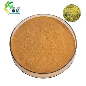 最畅销的道奇提取物高纯度Cuscuta提取物10:1 Cuscuta提取物粉末，价格最优惠 - Product Image 2